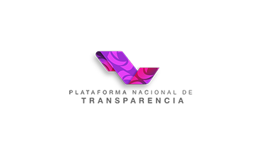 consulta